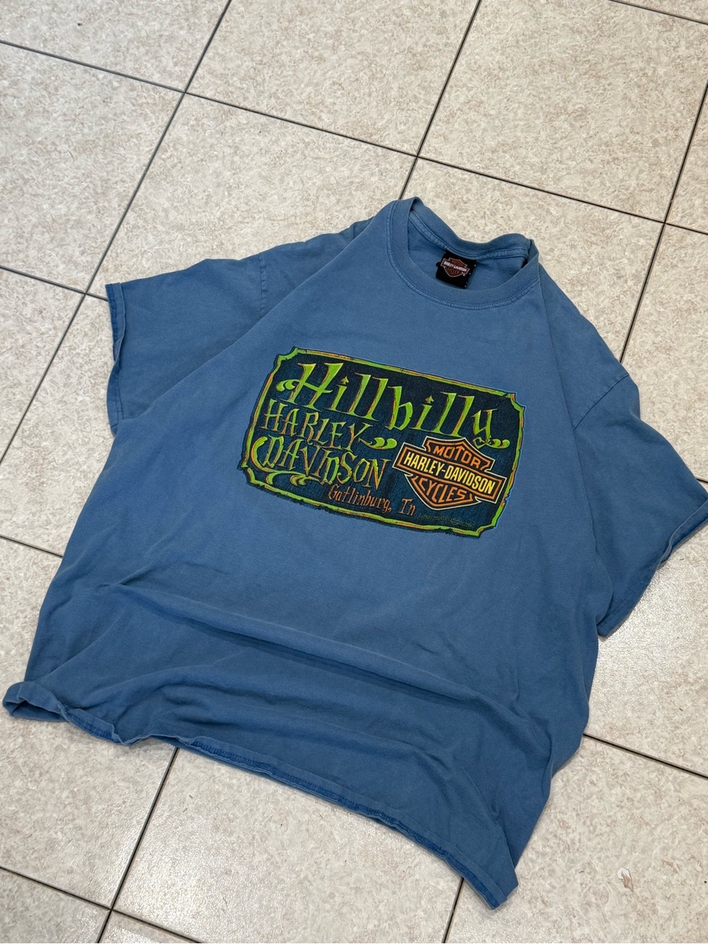 Harley-Davidson Blue Short Sleeve 'Hillbilly'Tshirt Mens 2xl but fits like xl